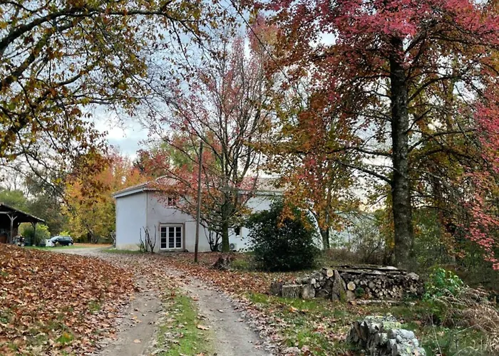 Le Domaine Du Martinet *